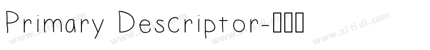 Primary Descriptor字体转换